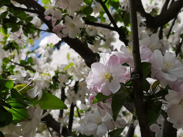 3倍光学变焦和5倍三摄变焦