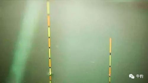 浮漂的选择技巧:浮漂灵敏度由哪些因素影响?