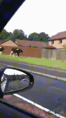 全球搞笑gif图第2212弹:人生第一次女装的时候