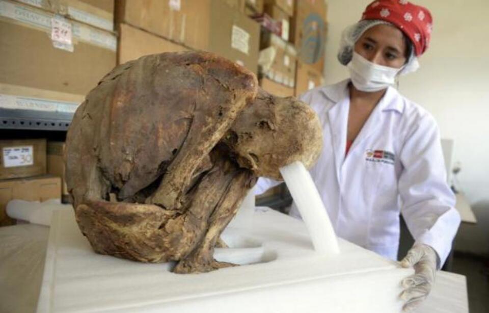 秘鲁出土一具保存完好木乃伊 至今已有千年历史