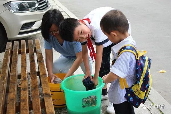 九江9岁小学生,每周义务擦洗60条公交候车坐凳一年多 九江9岁小学生,每周义务擦洗60条公交候车坐凳一年多