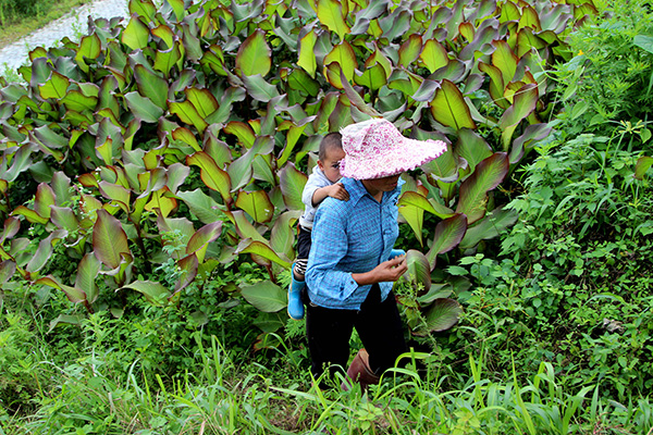 云南：加强农村留守儿童和困境儿童保障保护