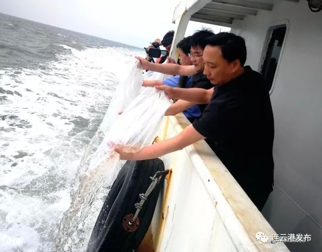 连云港4非法捕捞者，被法院执行放流中国对虾苗2042万尾
