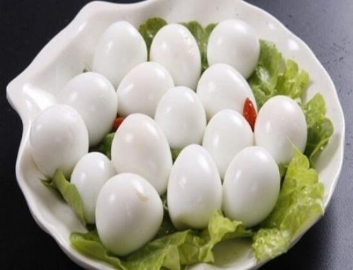 养鹌鹑竟能一年赚十万?山东村民养鹌鹑发家