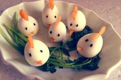 养鹌鹑竟能一年赚十万?山东村民养鹌鹑发家