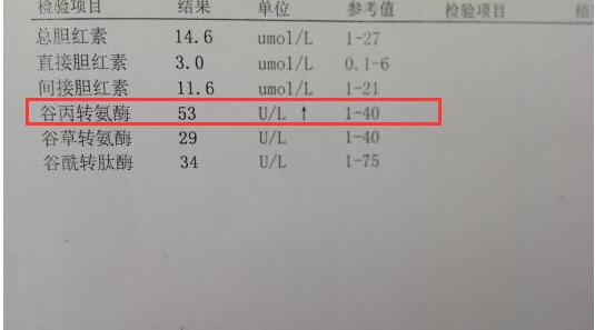 谷丙转氨酶偏高,肝病已在半路等你,一个方子泡水喝,保肝降酶!