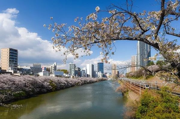 【防范】《中国国际进口博览会防汛防台安全保