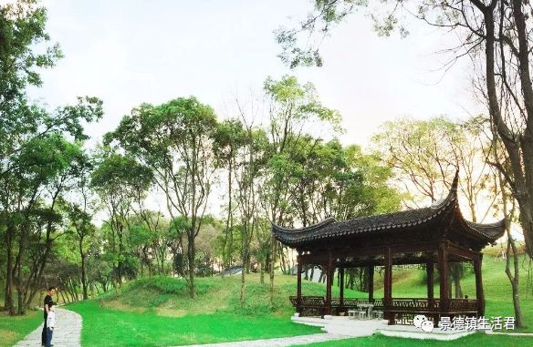 重磅!景德镇跻身全国百强,全省仅4个城市上榜