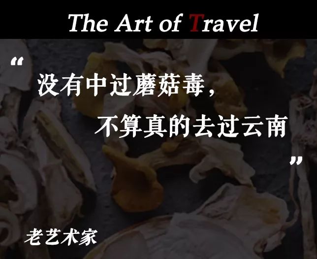 是社会人，就去云南吃毒蘑菇