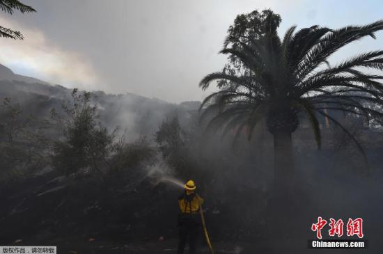 当地时间2017年12月16日，美国加州，山火持续肆虐。据报道，美国加州山火本月16日仍在继续蔓延，狂风再起后火势有所增长，可能将造成更多损害，甚至将成为加州史上记录在案的第三大火灾。据加州森林防火部门在声明中指出，被称为托马斯野火(Thomas Fire)的大火从4日开始窜烧，迄今已摧毁南加州沿海小区1000栋以上建筑，包括大约750间住宅。