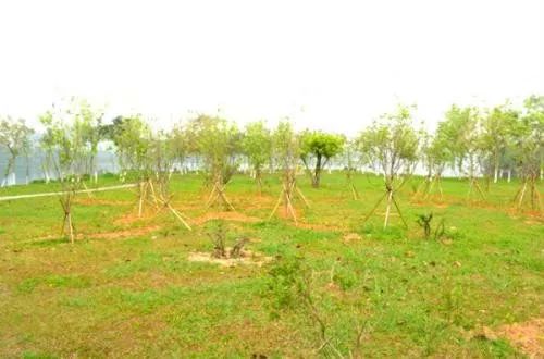 【世界环境日】看定海检察如何向环境污染亮