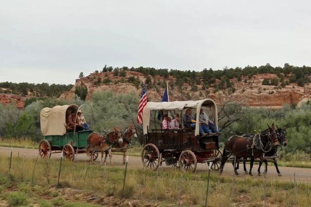 四轮马车(wagon)不仅可以装下货物还可以塞进很多人和行李,就这样