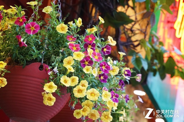 专业无负担 佳能G7X MarkII让摄影更轻松