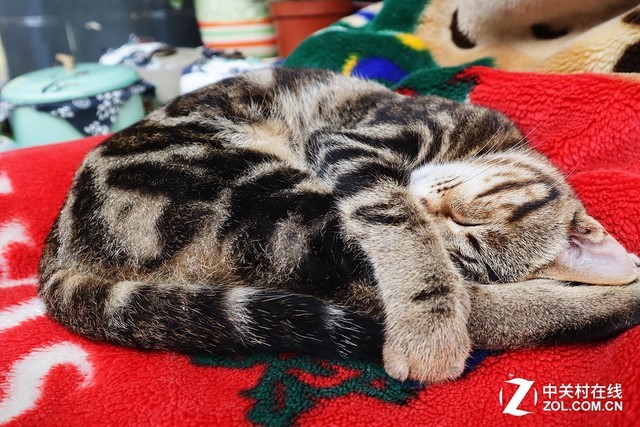 专业无负担 佳能G7X MarkII让摄影更轻松