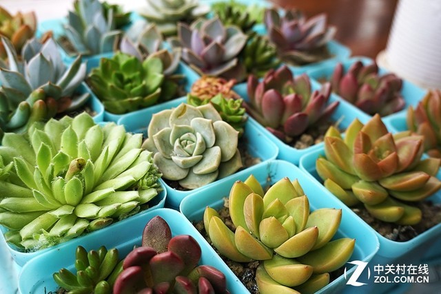 专业无负担 佳能G7X MarkII让摄影更轻松