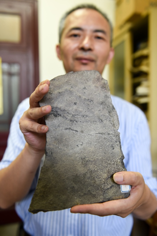 科学家在三峡地区发现地球已知最古老动物足迹化石