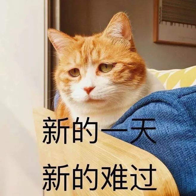 虽然六月份不如意的事情有这么多