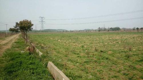 本月底粮食补贴发放完成,那么开荒地能领吗?要