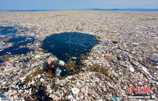 世界自然基金会：地中海恐将成为“塑料之海”