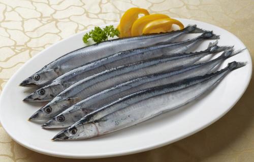 嫌自己捕捞不到秋刀鱼 日本拟在国际会议提出限捕方案
