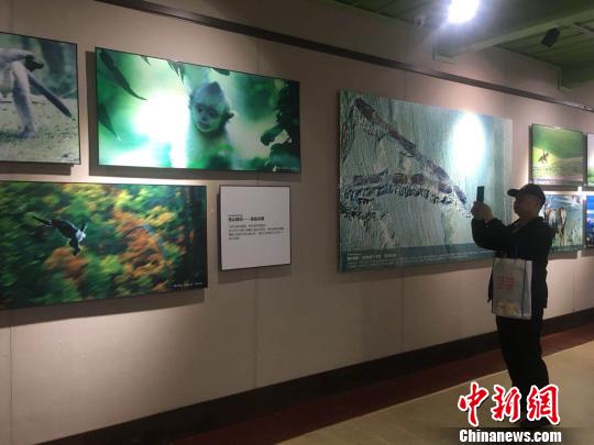 云南启动“文化和自然遗产日”活动 呼吁市民关注非遗