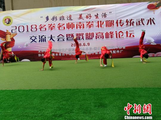 “南拳北腿”名拳名师河北衡水展演 展示传统体育元素