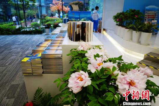 齐鲁文化系列图书抢眼上合组织青岛峰会新闻中心