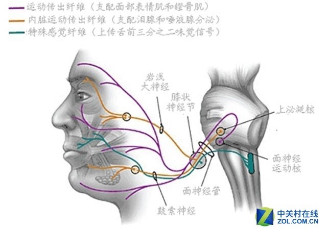 烫伤后摸盐是什么原理_二级烫伤是什么概念(3)