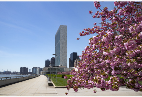 德国等5国当选联合国安理会非常任理事国