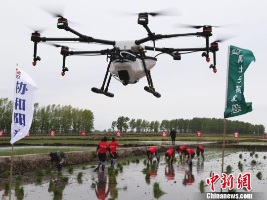 中国北疆“两大平原”试点改革绘就现代农业新蓝图