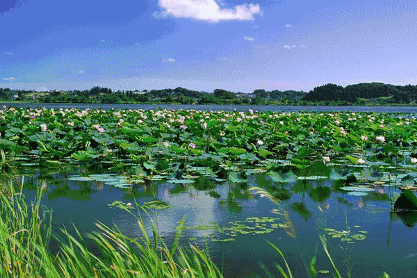 壁纸 风景 摄影 桌面 600_400 gif 动态图 动图