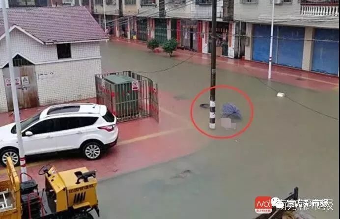广东暴雨疑发多起触电事故:致两死多伤,均为马