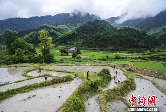 江西铅山举办首届稻作文化节 再现传统农耕技艺