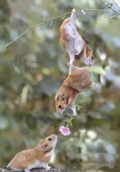 比起明星4天6000万片酬,这才是最值得曝光的