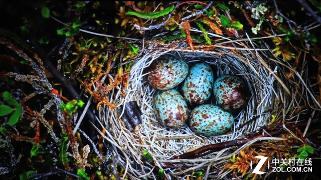 助力办公多面手 索尼高亮商务投影体验 