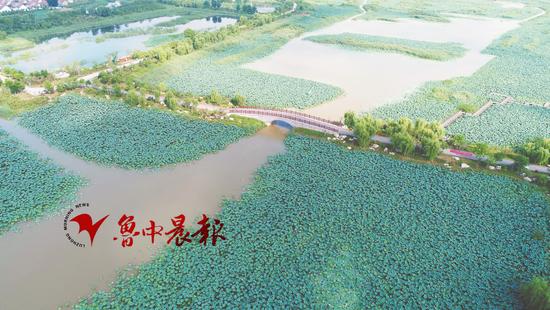 探寻桓台、高青、沂源三县划归淄博的尘封往事