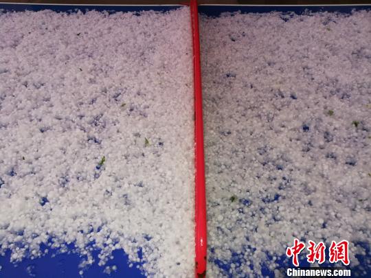 甘肃通渭县遭冰雹袭击农作物受损 当地发布橙色预警