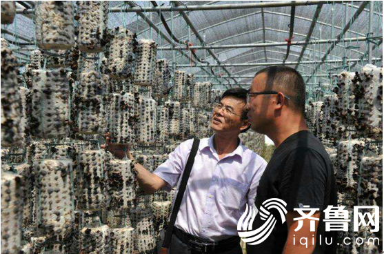 鱼台农行:全力服务企业动能转换创新助力乡村振兴