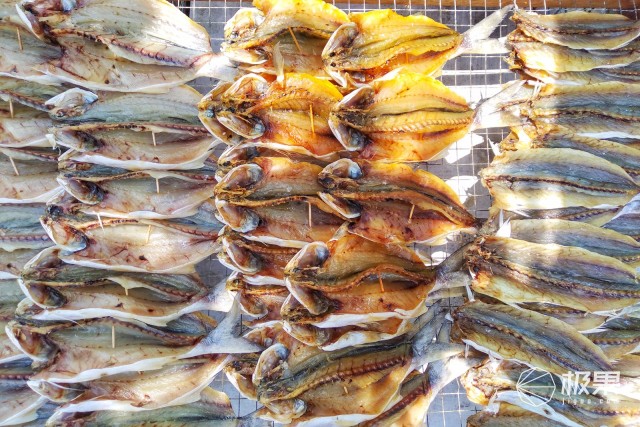 千元机也可以很精致坚果手机3评测 千元机也可以很精致坚果手机3评测