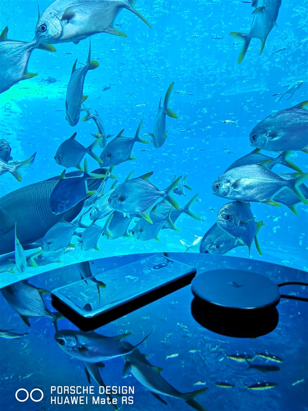 手机圈最奢华跨界!华为MateRS保时捷设计入驻