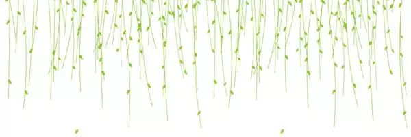 【市县】评审更快更科学!广州市天河区优化财