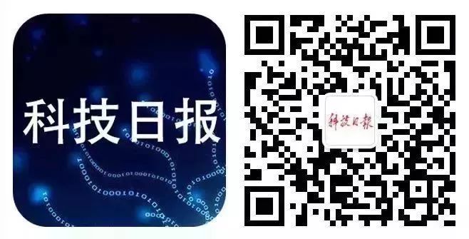 伦敦成欧洲“AI之都”；猫咪担任世界杯“官方预言家”