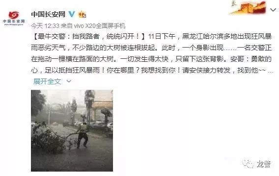 一米半树枝被刮断阻拦道路，哈尔滨交警暴雨中清障被点赞