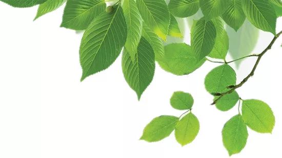 【市县】评审更快更科学!广州市天河区优化财