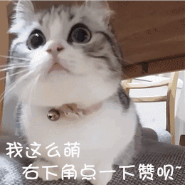 父亲去世,儿子花57万元买崭新宝马当棺材下葬!网友一句话感动所
