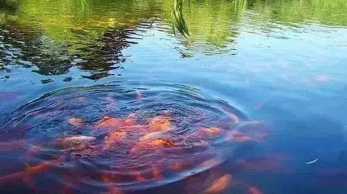 这九大错别字,名扬天下,背后的内涵令人回味隽