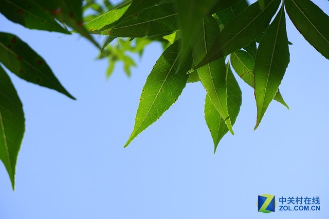 入门的高颜值享受 富士无反X-A5评测 