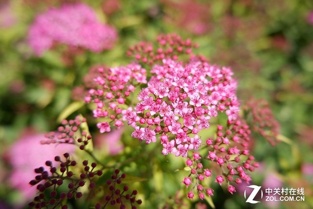 入门的高颜值享受 富士无反X-A5评测 