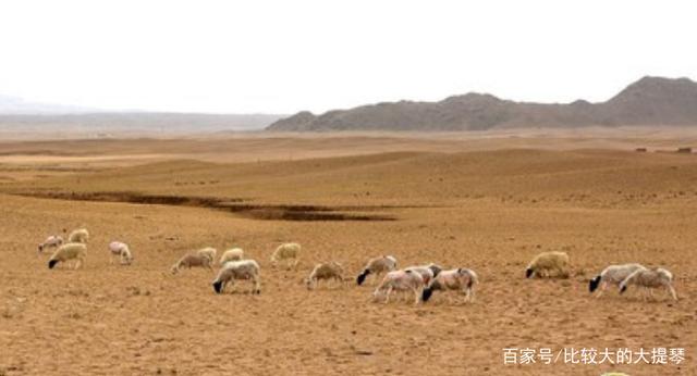 山喷发带来的惊喜|长城晚新闻 2018年6月17日