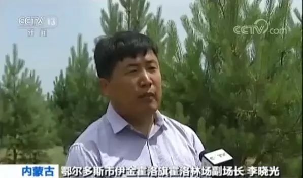 内蒙古伊金霍洛旗植被覆盖率88%，不再是北京头上一盆沙